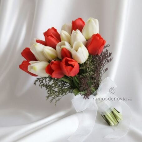 Tulipanes rojos y blancos 1025