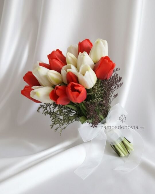Tulipanes rojos y blancos 1025