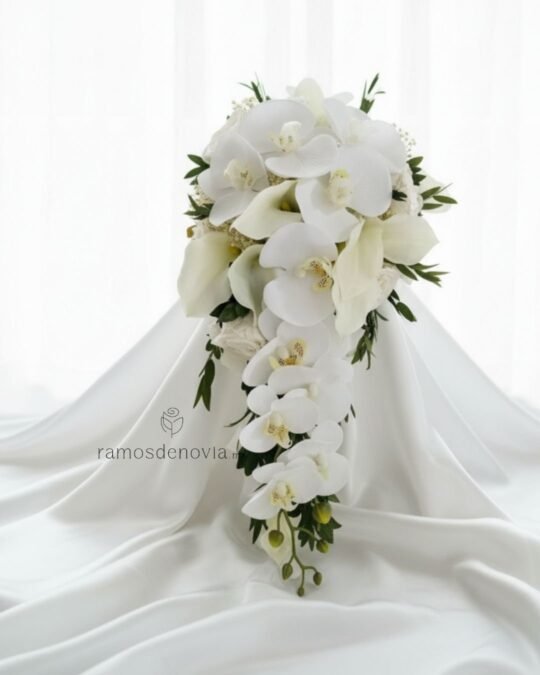Orquídeas phalaenopsis y rosas ivory 1072